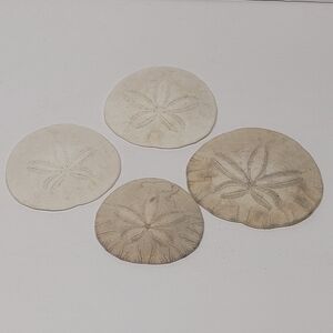 Natural Sand Dollar Decor Set